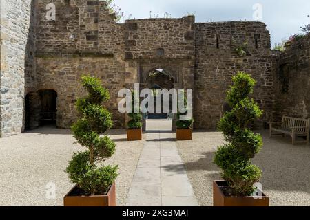 Ormond Castle ist eine Burg aus dem 15. Jahrhundert am Fluss Suir an der Ostseite von Carrick-on-Suir im County Tipperary, Irland Stockfoto