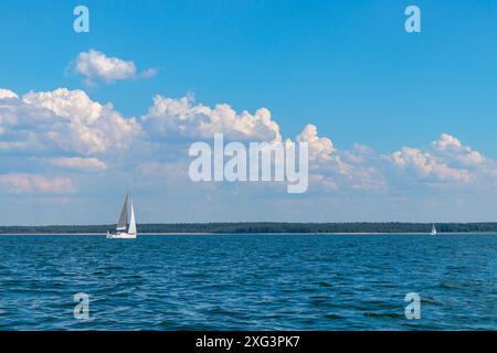 Yacht, weißes Segelboot unter Kopf genua und Hauptsegel segeln in einem ruhigen Meer in der Nähe der Küste. Kreuzfahrt, Urlaub, Regatta, Sport. Golf von Finnland. Banne Stockfoto