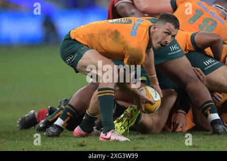 Sydney, Australien. Juli 2024. Jake Gordon vom australischen Rugbyteam der Männer wird während des Spiels der Männer Rugby International zwischen Australien und Wales im Allianz Stadium in Aktion gesehen. Endpunktzahl; Australien 25:16 Wales. (Foto: Luis Veniegra/SOPA Images/SIPA USA) Credit: SIPA USA/Alamy Live News Stockfoto