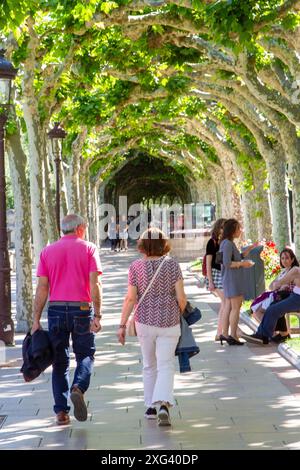 Ein Paar spaziert entlang einer von Bäumen gesäumten Allee in der spanischen Stadt Burgos Castile und Leon Spanien Stockfoto