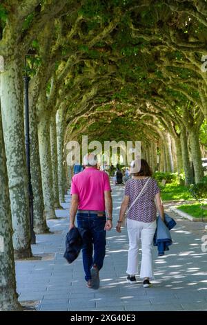Ein Paar spaziert entlang einer von Bäumen gesäumten Allee in der spanischen Stadt Burgos Castile und Leon Spanien Stockfoto