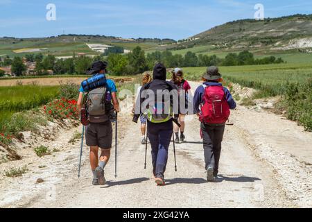Pilger, die auf dem Jakobsweg zwischen Burgos und Hornillos del Camino im Gebiet von Kastilien und Leon in Spanien wandern Stockfoto