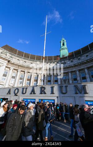 Großbritannien, England, London, County Hall (Heimat des London Sea Life Aquarium) Stockfoto