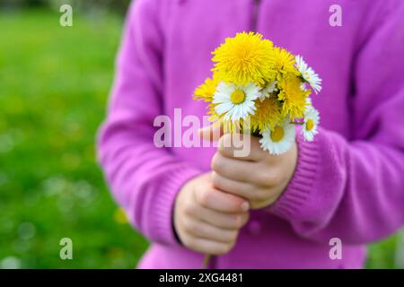 Ein kleines Mädchen in lila gekleidet, das ein kleines Stück frisch gepflückten Löwenzahn und Gänseblümchen in den Händen hält. Stockfoto