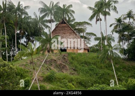 Traditionelle Amazonashütte umgeben von Palmen im Regenwald Stockfoto