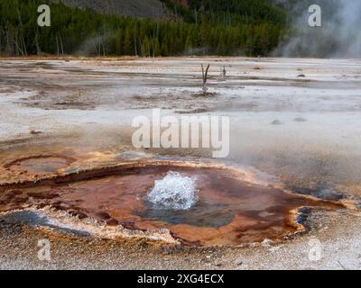 Der Yellowstone-Nationalpark liegt auf einem riesigen Supervulkan und beherbergt außergewöhnliche Thermalanlagen Stockfoto