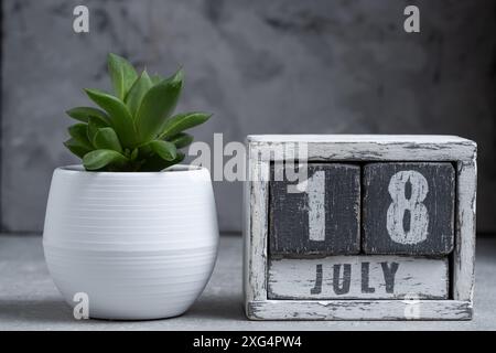 Holzwürfelkalender mit Datum 18. Juli und grüner Pflanze in einem weißen Topf Stockfoto