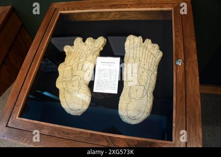 Das kanadische Museum zeigt Gipsabgüsse von Sasquatch oder Bigfoot Tracks vom Bossburg Trackway aus dem Jahr 1969 im Nordosten des US-Bundesstaates Washington. Stockfoto