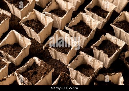 Torfpapierbecher für den Anbau von Setzlingen, quadratische Behälter für Setzlinge in der Landwirtschaft Stockfoto