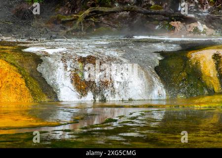 Warbrick Terrace im Waimangu Volcanic Valley - Neuseeland Stockfoto