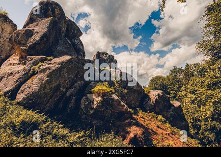 Ein Felsen in Tustan Festung Place Skole Beskids National Nature Park Lemberg Region Stockfoto