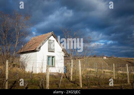 Dunkelblaue Winterwolken an den Weinbergen des Neckenmarktes Burgenland mit kleinem Schuppen Stockfoto