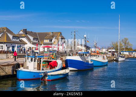 Fischerboote im Hafen von Vitte auf der Insel Hiddensee Stockfoto