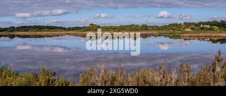 SA Vall Salzsee, Colonia de Sant Jordi, ses Salines, Mallorca, Balearen, Spanien Stockfoto