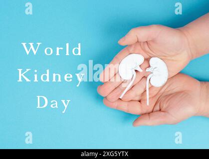 Hände, die eine Niere halten, Papier ausgeschnitten, Weltnierentag, Gesundheitsprobleme, Organtransplantation, Medizinisches Problem Stockfoto