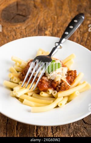 Maccheroni-Nudeln mit Bolognaise-Sauce Stockfoto