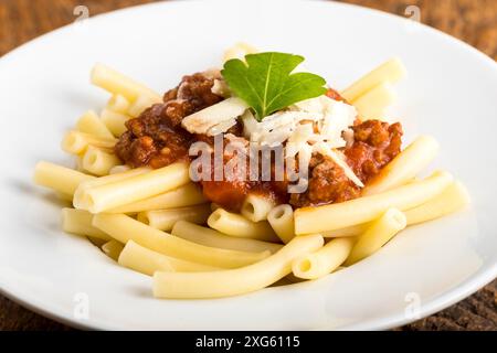 Maccheroni-Nudeln mit Bolognaise-Sauce Stockfoto