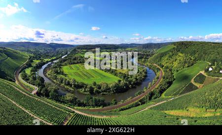 Wiltinger Saarbogen. Der Fluss schlängelt sich durch das Tal und ist von Weinbergen und grünen Wäldern umgeben. Kanzem, Rheinland-Pfalz, Deutschland Stockfoto