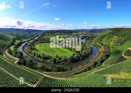 Wiltinger Saarbogen. Der Fluss schlängelt sich durch das Tal und ist von Weinbergen und grünen Wäldern umgeben. Kanzem, Rheinland-Pfalz, Deutschland Stockfoto