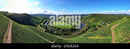 Wiltinger Saarbogen. Der Fluss schlängelt sich durch das Tal und ist von Weinbergen und grünen Wäldern umgeben. Kanzem, Rheinland-Pfalz, Deutschland Stockfoto