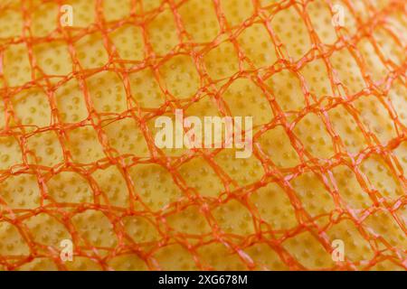 Reife Pomelo verpackt in einem orangen Netz, reife Zitrusfrüchte verpackt zur Lagerung Stockfoto