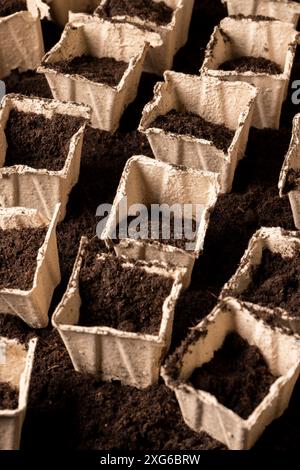 Torfpapierbecher für den Anbau von Setzlingen, quadratische Behälter für Setzlinge in der Landwirtschaft Stockfoto