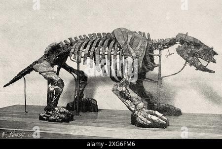 Scelidotherium leptocephalus Owen. Paläontologie-Galerie des Naturhistorischen Museums von Paris, Frankreich. Alte gravierte Illustration aus dem 19. Jahrhundert aus La Nature 1886 Stockfoto