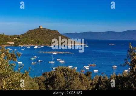 FRANKREICH. CORSE-DU-SUD (2A) GOLFE DU VALINCO, ANSE DE CAMPOMORO Stockfoto