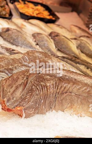 Verschiedene Fischsorten auf der Theke in einem Supermarkt Stockfoto