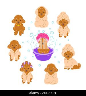 Der süße, lustige Spielzeugpudel nimmt ein Bad. Handgezeichneter Kritzelcharakter in verschiedenen Posen. Hübscher Hund im Bademantel, in Handtuch gewickelt, mit Lockenwicklern Stock Vektor