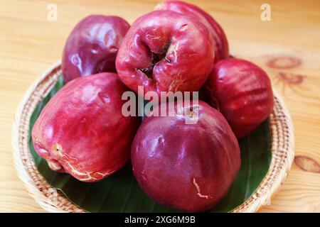 Haufen frischer reifer, tiefroter malaiischer Äpfel namens Chompu Mameaw in Thailand Stockfoto