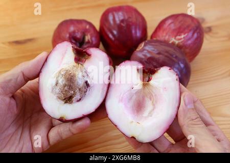 Köstliches weißes samtiges Fleisch reifer malaiischer Äpfel mit einem großen Samen Stockfoto