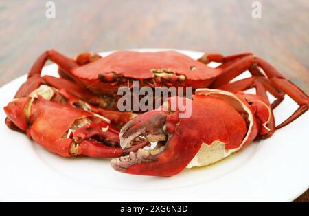 Teller mit einer ganzen gedämpften Seekrabbe, einer der beliebten thailändischen Meeresfrüchte-Gerichte Stockfoto