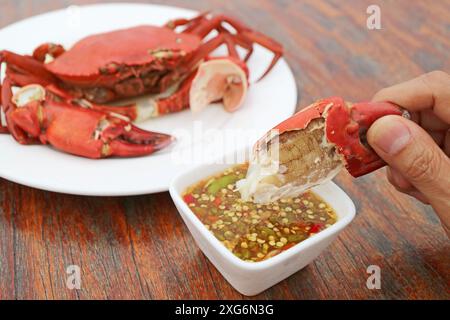 Tauchen Sie eine gedämpfte Krabbenkralle von Hand in eine aromatische thailändische würzige Meeresfrüchte-Sauce Stockfoto