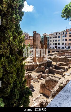 Largo di Torre Argentinien wurde auf einem wichtigen archäologischen Gebiet aus der römischen Zeit erbaut, heute die älteste Katzenkolonie der Stadt in Rom, Italien. Stockfoto