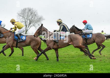 Wincanton Rennen 8. Januar 2022 - Rennen 1 Stockfoto