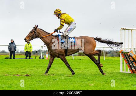 Wincanton Rennen 8. Januar 2022 - Rennen 1 Stockfoto