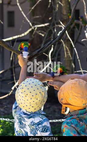 Zwei Geschwister, die in Sommerhemden und Hüten gekleidet sind, um sich vor der Sonne zu schützen, stehen in einer natürlichen Umgebung und füttern Papageien mit Samen. Der lebendige Stockfoto