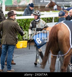 Zweites Rennen in Wincanton am 8. Januar 2022 Stockfoto