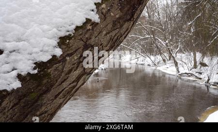 Nahaufnahme eines schneebedeckten Baumstamms in einer wilden Winterlandschaft. Ein nicht gefrorener Fluss windet sich durch die bewaldete Umgebung im unscharfen Hintergrund Stockfoto