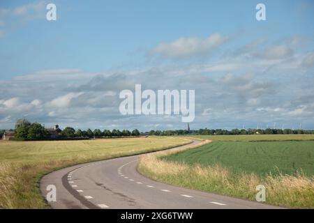 Kurvige Straße in der Landwirtschaft zwischen Weizenfeldern in Scania, Schweden an einem klaren Sommertag Stockfoto