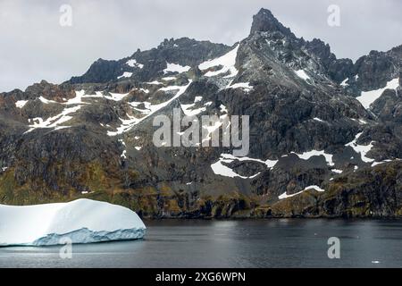 Drygalski Fjord, Südgeorgien, Sonntag, 26. November 2023. Foto: David Rowland / One-Image.com Stockfoto