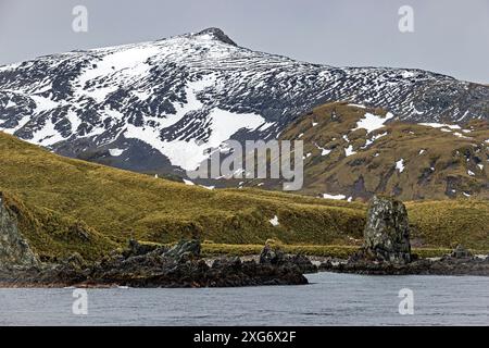 Drygalski Fjord, Südgeorgien, Sonntag, 26. November 2023. Foto: David Rowland / One-Image.com Stockfoto