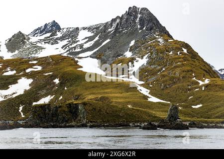 Drygalski Fjord, Südgeorgien, Sonntag, 26. November 2023. Foto: David Rowland / One-Image.com Stockfoto