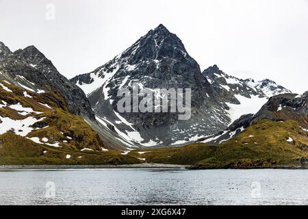 Drygalski Fjord, Südgeorgien, Sonntag, 26. November 2023. Foto: David Rowland / One-Image.com Stockfoto