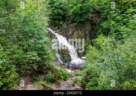 Wasserstrom fließt in den Fluss auf einem felsigen bergab Hang in den Bergen, üppige Bäume mit grünem Laub und wilde Vegetation im Hintergrund, Sommer Stockfoto