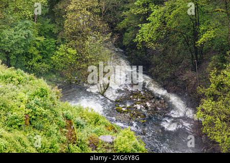 Warche River inmitten üppiger Laubbäume und wilder grüner Talvegetation, vom Robertville Dam aus gesehen, Wasser fließt zwischen Felsen und Steinen, bewölktes da Stockfoto