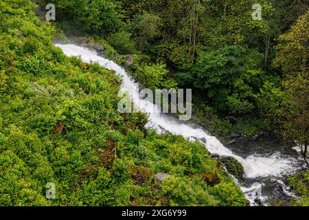 Wasserstrom, der mit hoher Geschwindigkeit und Druck zwischen üppigen Laubbäumen und grüner wilder Vegetation des Tales absteigt, verlässt Robertville Dam, Clou Stockfoto