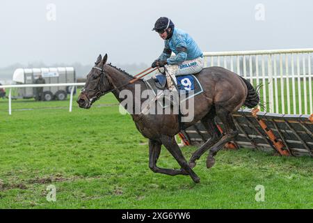 Wincanton Races, Sechstes Rennen, 8. Januar 2022 Stockfoto