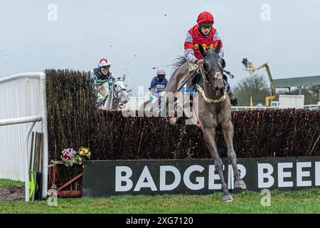 Siebtes Rennen in Wincanton, 8. Januar 2022 Stockfoto